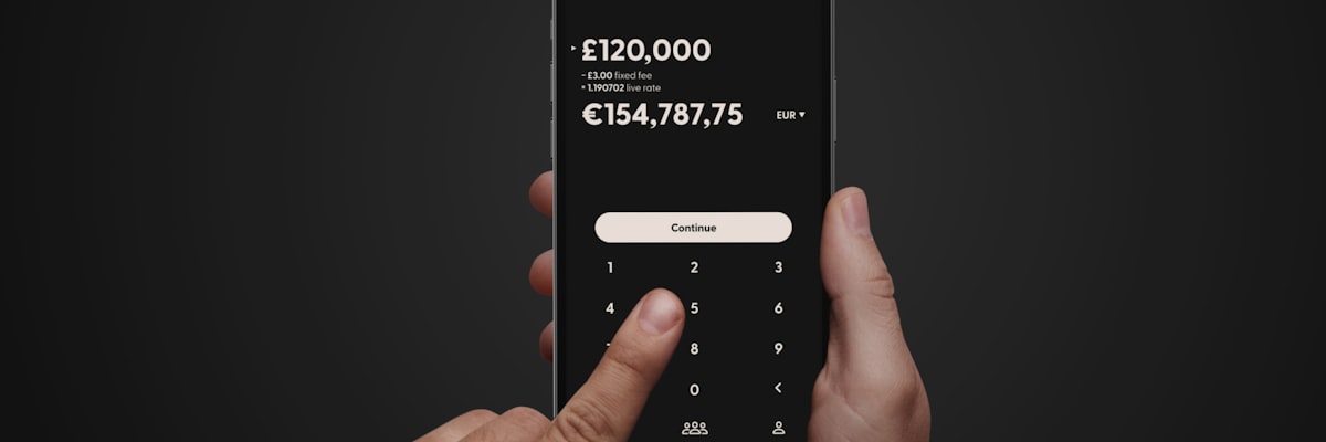 スマートフォンで送金アプリを操作する手元