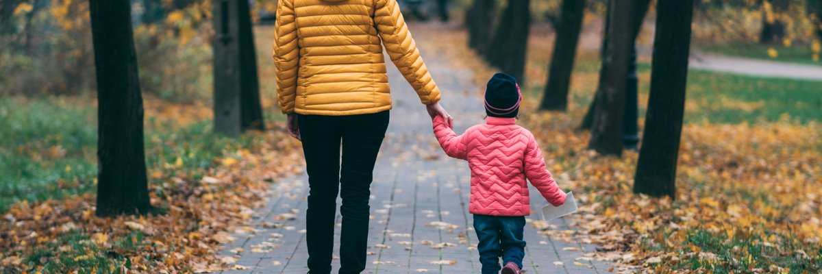 並木道を手をつないで歩く親子の後ろ姿