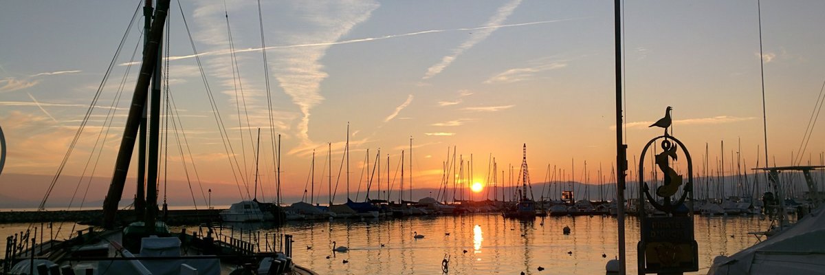 夕暮れの湖畔に並ぶヨットの帆柱